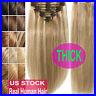 Thick Double Weft Clip In Real Remy Human Hair Extensions Full Head highlight US
