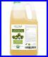 Velona USDA Certified Organic Castor Oil 2oz-7lb Eyelashes Eyebrows Cold Pressed